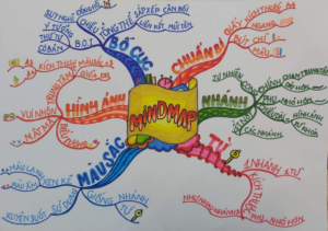 Sơ đồ tư duy mindmap