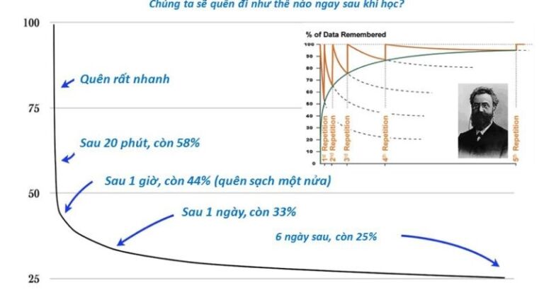 Nắm vững biểu đồ đương cong lãng quên để học từ vựng tiếng anh hiệu quả