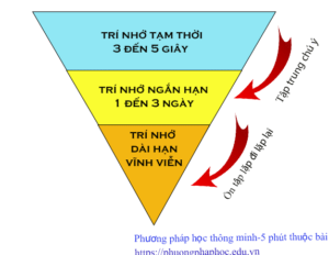 Vận dụng trí nhớ dài hạn để học từ vựng tiếng anh
